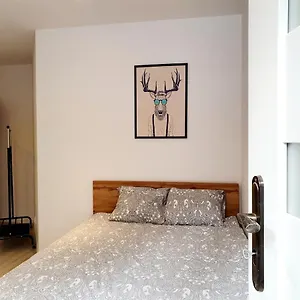 Rabbit Sopot